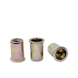 Tuerca Remachable Cilíndrica 1/4 sin Cabeza